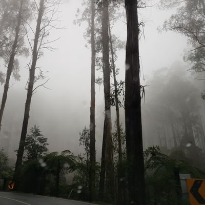 gregwmoseley's profile picture. Head of Viral Pathogenesis Lab.