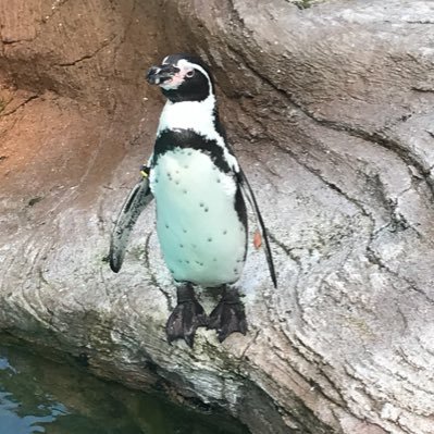 ebosi25's profile picture. 