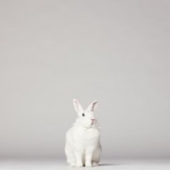 BanBanさんのプロフィール画像