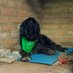El perro de Fidel (@danielchirinew) Twitter profile photo El perro de Fidel (@danielchirinew) Twitter profile photo
