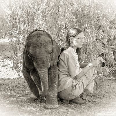 tentwife's profile picture. YouTube 🐘Working with orphaned elephants 📋Behaviour • Research • Conservation 🏕Tent living • Married life • Bush kitchen 🌍 • Zambia