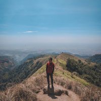 Tajul Arifin (@arfntajul) 's Twitter Profile