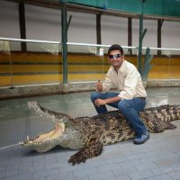 Aadi Y (@adesyogi) 's Twitter Profile Photo