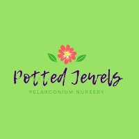 Potted Jewels(@liga_plata) 's Twitter Profile Photo