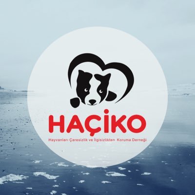 hacikodernek Profile Picture