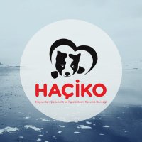 Haçiko Derneği (@hacikodernek) 's Twitter Profile Photo Haçiko Derneği (@hacikodernek) 's Twitter Profile Photo