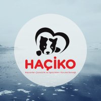 Haçiko Derneği(@hacikodernek) 's Twitter Profileg