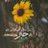 W_h_m5's profile image