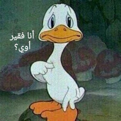 ElsayyadSalah's profile picture. هي الأيامُ كما شاهدتها دُولٌ,مَن سَرَّهُ زَمنٌ ساءَتهُ أزمانُ وهذه الدار لا تُبقي على أحد,ولا يدوم على حالٍ لها شان #مواليد ٥٩