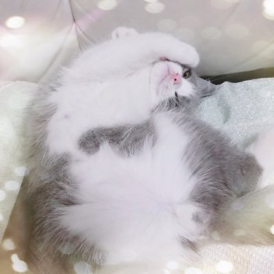 7MoeMelody7's profile picture. 