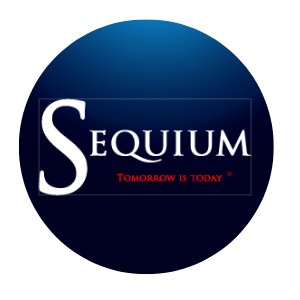 SequiumL's profile picture. 