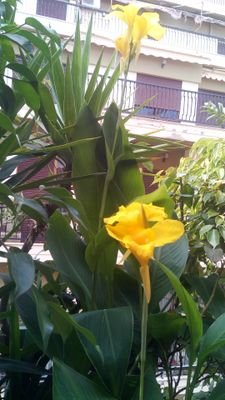 Ntina63810276's profile picture. nurse