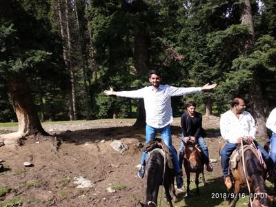 Prashan20499783's profile picture. 