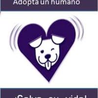VIBRA (@vibramascotas) 's Twitter Profile Photo VIBRA (@vibramascotas) 's Twitter Profile Photo