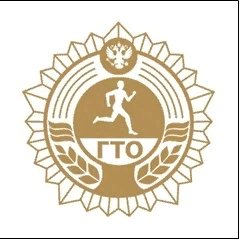 Добро пожаловать на страничку центра тестирования Всероссийского Физкультурно-спортивного комплекса