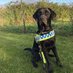 Guardian Angels Wolfy & Hetty (@hetty_bg) Twitter profile photo Guardian Angels Wolfy & Hetty (@hetty_bg) Twitter profile photo