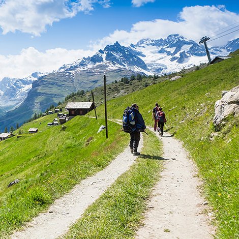 alpinescene's profile picture. 