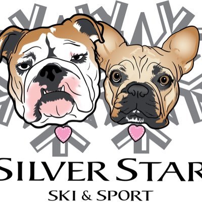 SilverStarSki Profile Picture