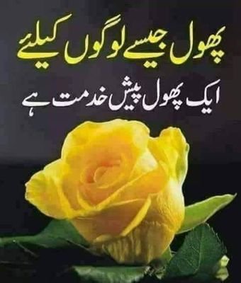 herro_new's profile picture. Hi