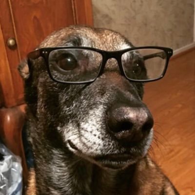 AssociatedJes's profile picture. fiercely moderate 🇺🇸