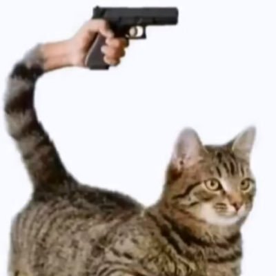 CAT WITH GUN (@CAT_WITH_GUN) | Twitter