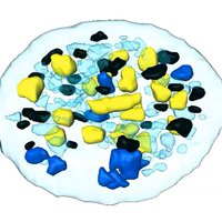 Hamilton Lab (@lab_hamilton) 's Twitter Profile Photo Hamilton Lab (@lab_hamilton) 's Twitter Profile Photo