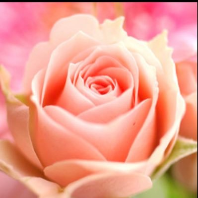2bGbcrjFMbgRY9D's profile picture. 2019年2月に21歳の息子を自死で亡くしました。これからどう生きたらいいのか、、、誰を亡くすよりも辛く、しかも自死、、、我が家のわんにゃんとSnowManに唯一癒されてます。 #自死遺族#自殺#縊死#SnowMan