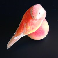 lilimomo (@lilicastiel) 's Twitter Profile Photo