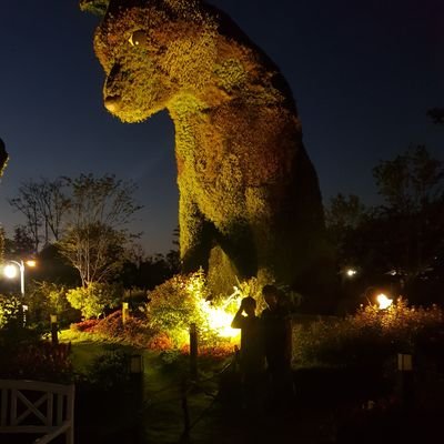 lg 팬.두산팬과 겸상 안한다.성남.캠핑.멋진아들둘.간신히먹고산다.

'잘가요 촌뜨기 남은 세상 우리가 어떻해든 해볼께요'