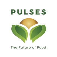 Love Pulses (@lovepulses) 's Twitter Profile