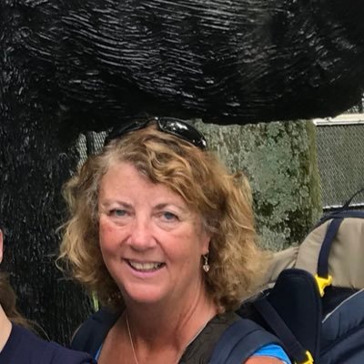 SandyIreson's profile picture. ITRT with Lynchburg City Schools