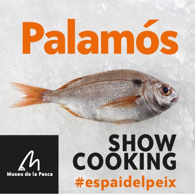 Centre d'interpretació de la pesca, aula gastronòmica i taller de degustació del peix fresc del port de Palamós