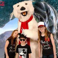 Ruth Kay (@ruthkay74998272) 's Twitter Profile