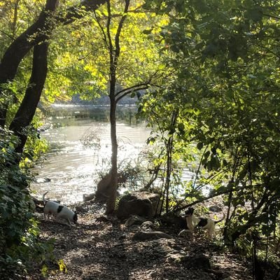 Keep Austin weird and affordable with responsible development in ATX.