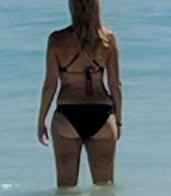 foxybox's profile picture. Bear with me, I can be a bitch.