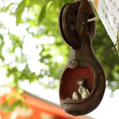 TSHIN03150714's profile picture. 肉と草を食え