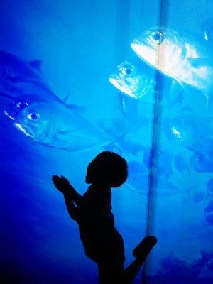 yujik7908's profile picture. 