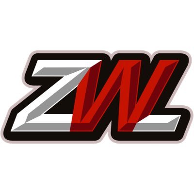 #ZWL- The Premiere Zombies eSports league. From the people that brought you @officialzwc