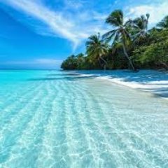 Fernand43688129's profile picture. 