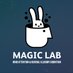MAGIC Lab (@labofmagic) Twitter profile photo MAGIC Lab (@labofmagic) Twitter profile photo