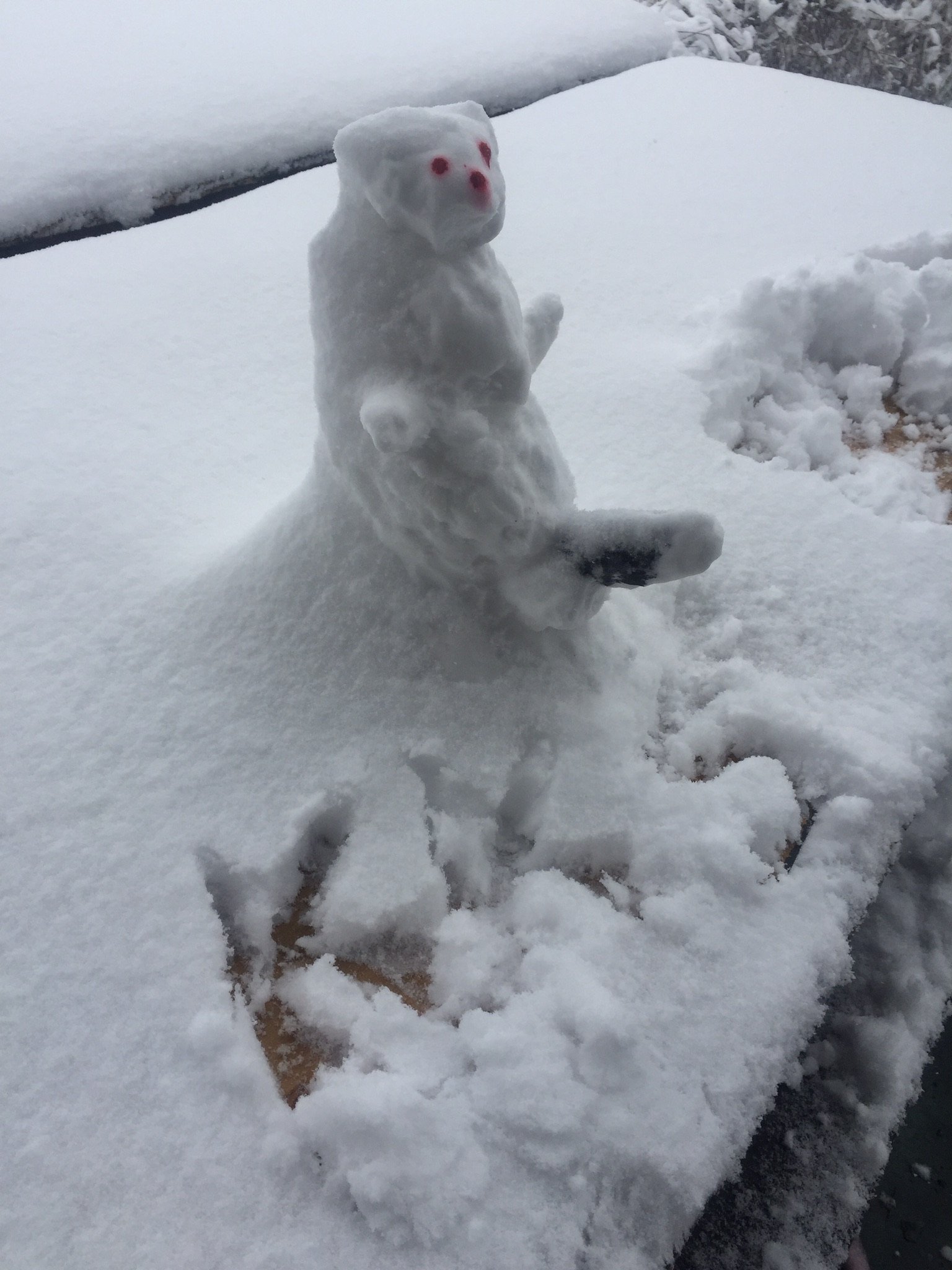 KleberKeiti's profile picture. 