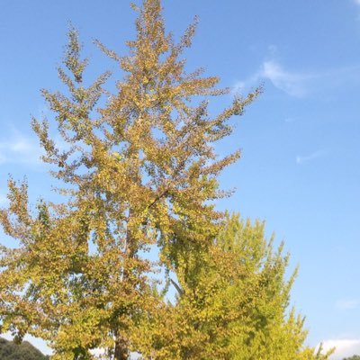 gecco1249's profile picture. 