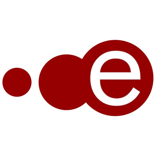providing technology services and products including various web services, internet products , development and marketing of business management software etc