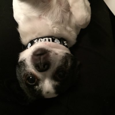 TwinsinMaple's profile picture. watching political events in horror #resist