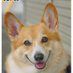 Buddy & Buddy (@buddy1957090828) Twitter profile photo Buddy & Buddy (@buddy1957090828) Twitter profile photo