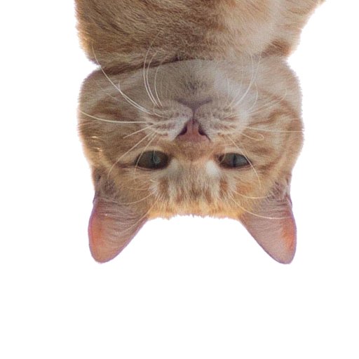 SophieKaleba's profile picture.