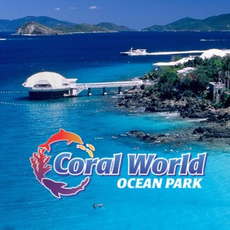 Come to Coral World Ocean Park and experience the beauty and magic of life under and above the Caribbean Sea.