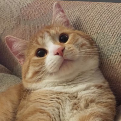 Abu_Makkan's profile picture. Kobe