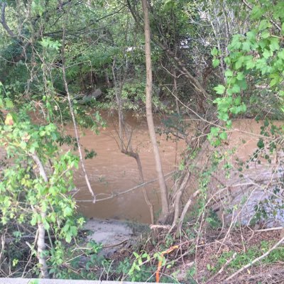 Flooding since your grandfather was knee-high to a grasshopper. Lover of rain. Resentfully odiferous. Parody. Not affiliated w/any govt. agency or news source.