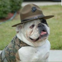 USMC Patriot ❌ 🇺🇸 (@brimmy03) 's Twitter Profile